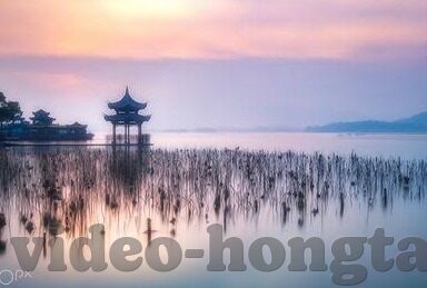 91大神麻豆-打造网络奇观，揭秘91大神与麻豆背后的故事