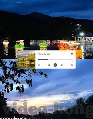 成人夜视频-成人夜视频，网络文化中的一面镜子