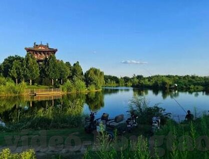 成人伊人大香蕉在线视频最新-成人伊人大香蕉在线视频最新，理性审视网络内容与个人界限