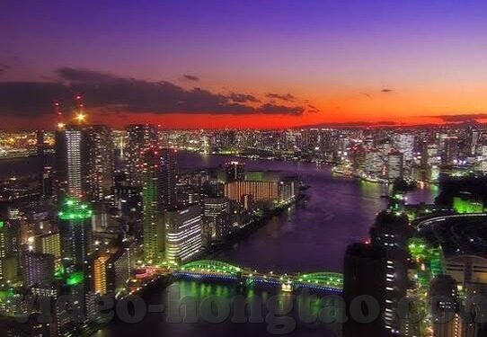 大象传媒下载免费安装-探索大象传媒下载的便捷与乐趣
