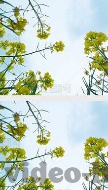 果冻传媒在线下载-探索果冻传媒在线下载的多元化娱乐体验