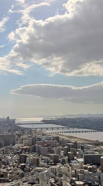 麻豆传媒白晶晶-一则关于麻豆传媒白晶晶的多维度观察