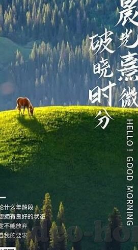 麻豆视频破解无限看-麻豆视频的真相与道德观照