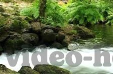 苹果手机糖心vlog下载-苹果手机糖心视频，蕴藏生活小确幸的私密记录