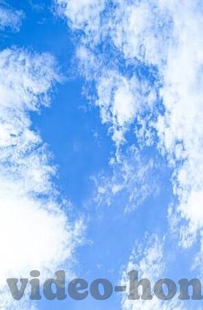 完整成人免费视频在线-探索成人教育新视界，完整成人免费视频资源的应用与影响