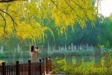 吴梦梦果冻传媒-探索吴梦梦果冻传媒，新媒体时代下的内容创新与影响